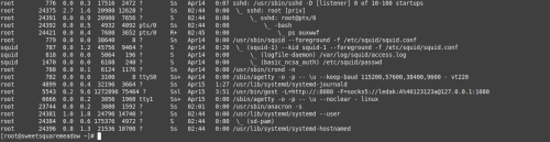 Screenshot-from-2026-04-16-09-45-22.png