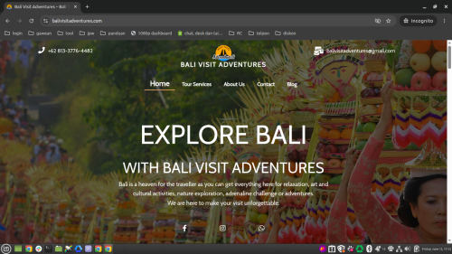 balivisitadventures.com.png