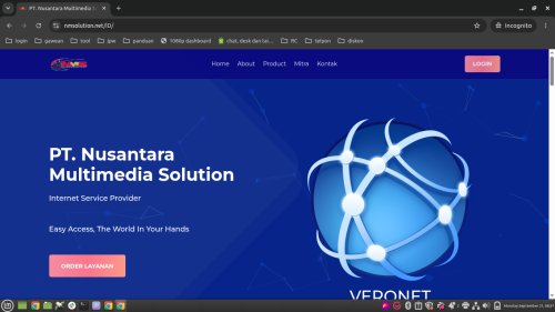 nmsolution.net.png